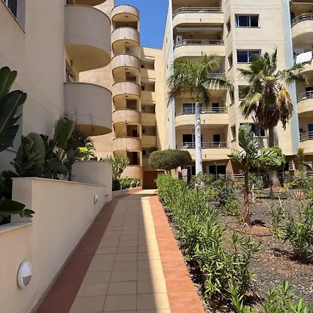 Lejlighed Buena Vista