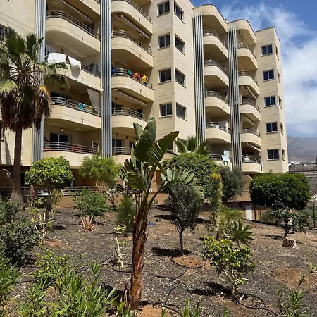 Buena Vista Lejlighed Playa Paraíso