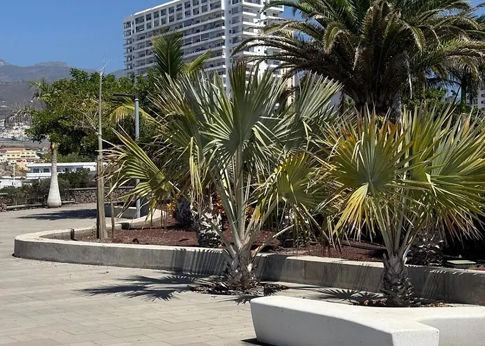 Buena Vista * Playa Paraiso (Tenerife)